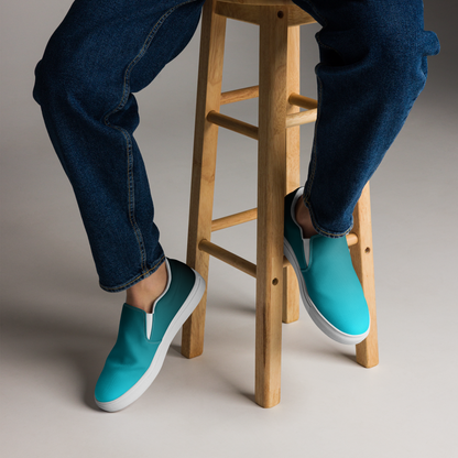 Men's Canvas Slip-ons ❯ Pure Gradient ❯ Springboard